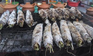 thai grilled fish