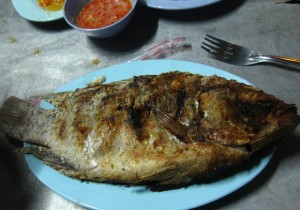 thai grilled fish
