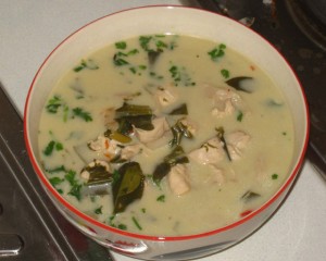 tom kha gai coconut milk thai soup
