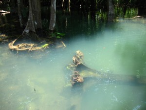 tha pom khlong song nam thailand