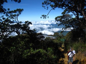 Mount Kinabalu view