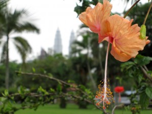 kl flower lake gardens