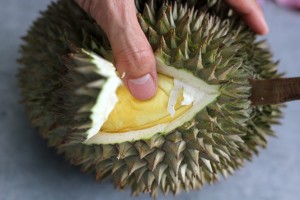 Press testing a kanyao (long stem) durian in Bangkok.
