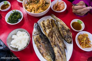 Seoul travel food guide