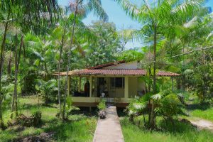 How to eat acai like a local, How Do Locals Eat Acai in Brazil?