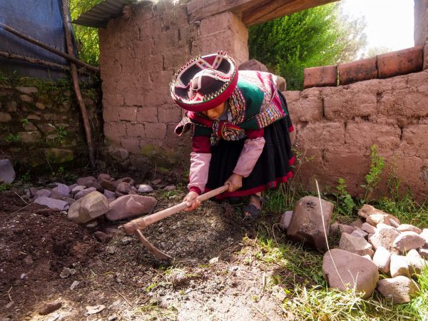 Ancient Earth-Oven Technology in Daily use in Peru - Pacha Manca Pachamanca